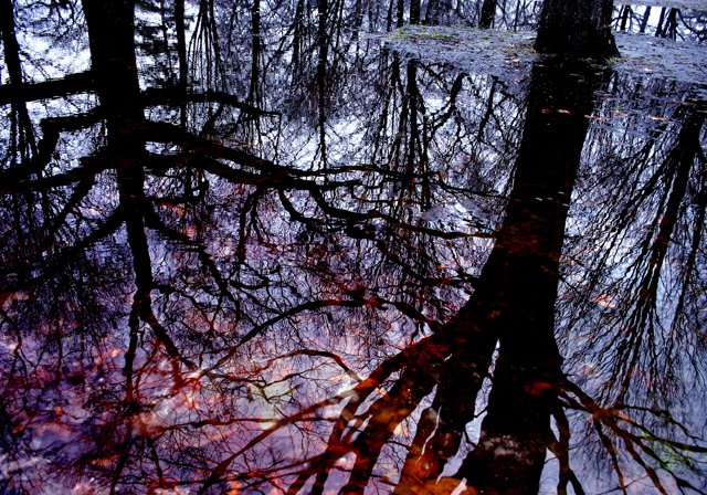 photo 0194.jpg